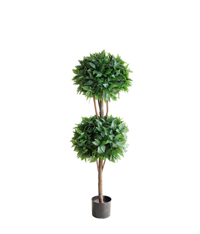 Laurel tree double ball topiary (6638759772256)