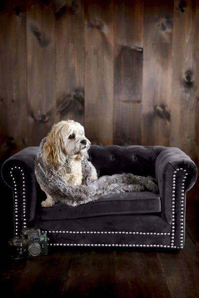 Husky Grey Pet Bed (4576493437024)