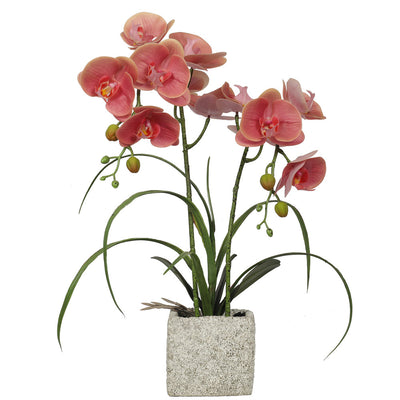 Artificial Potted Orchids 51CM Indoor Champagne (6646806347872)