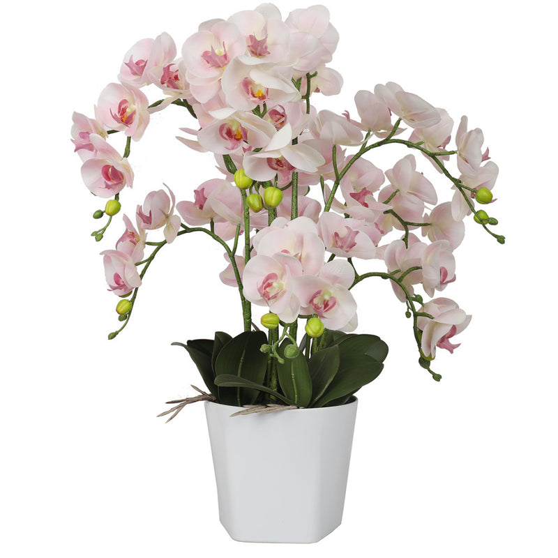 Artificial Potted Orchids 57CM Indoor Pink (6646806478944)