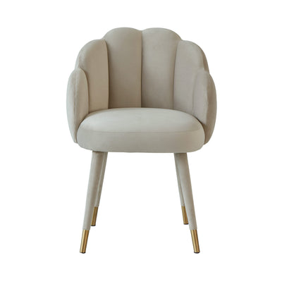 Gardenia Light Grey Velvet Dining Chair (6563844784224)