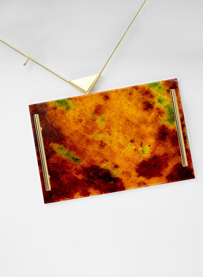 Decorative Acrylic Serving Tray -LWHATSG-Y19 (6622848221280)