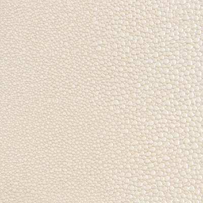 Caracole Classic - Tempo