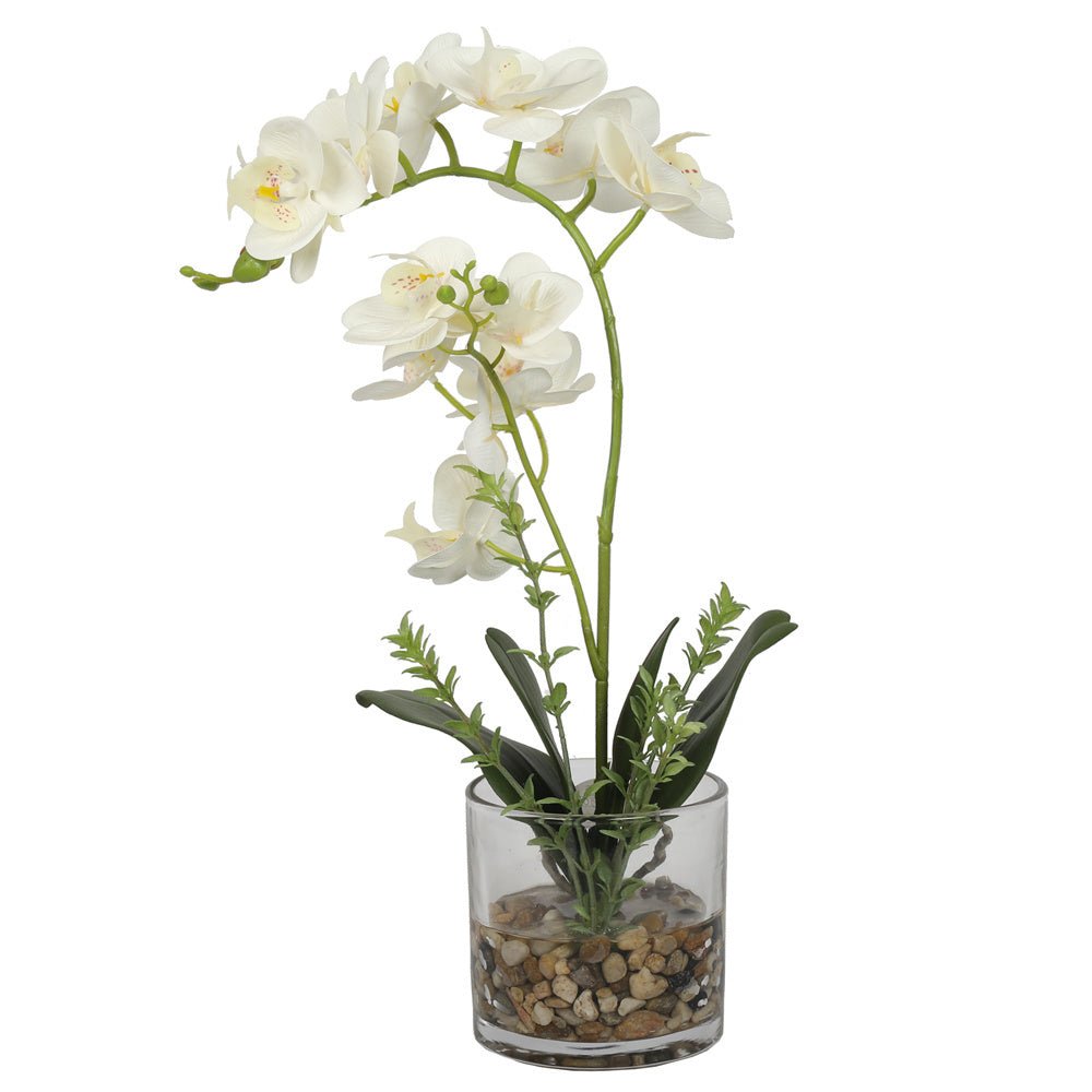 Artificial Potted Orchids 47CM Indoor White Flower with Grass Pot Plants| Roots Furniture