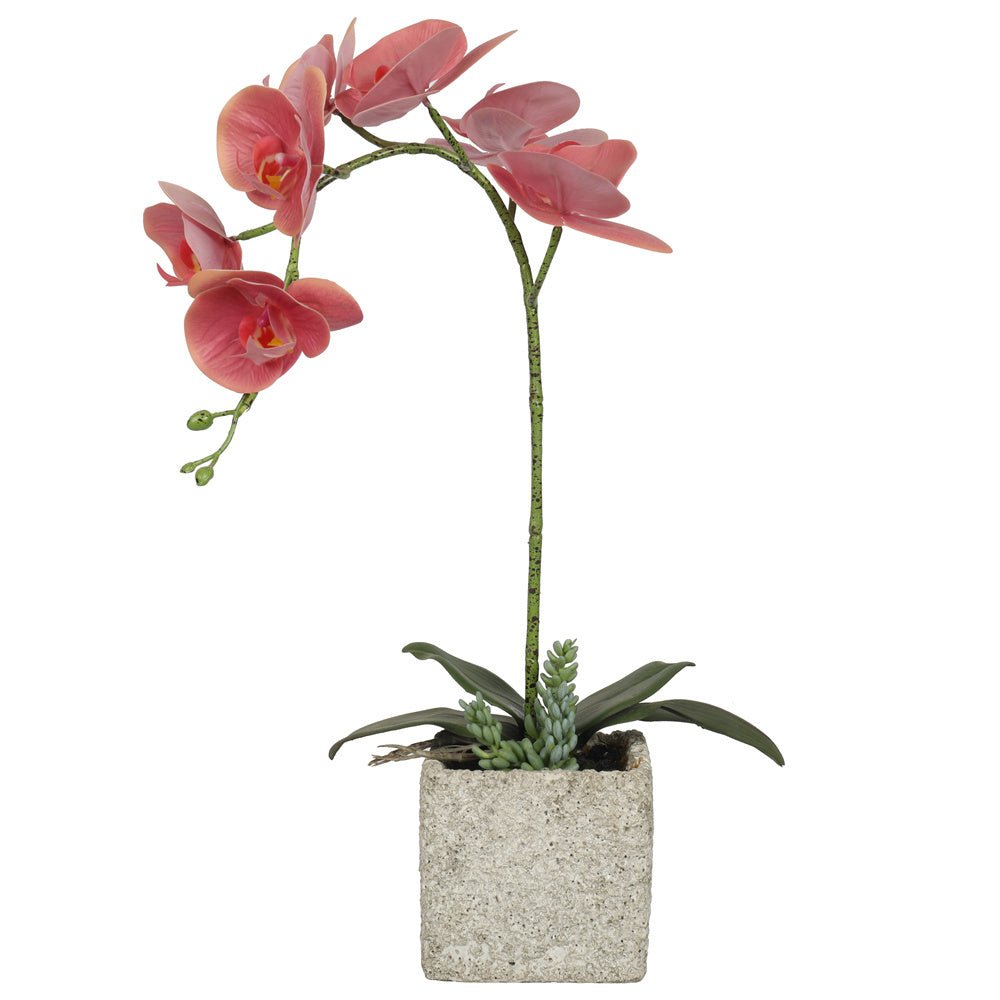 Artificial Potted Orchids 49CM Indoor Dark Pink Plants| Roots Furniture