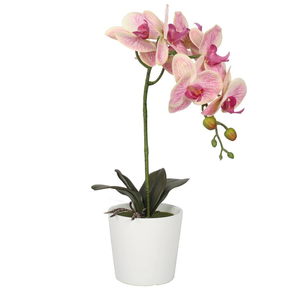 Artificial Potted Orchids Pink Red 48CM Indoor Plants| Roots Furniture