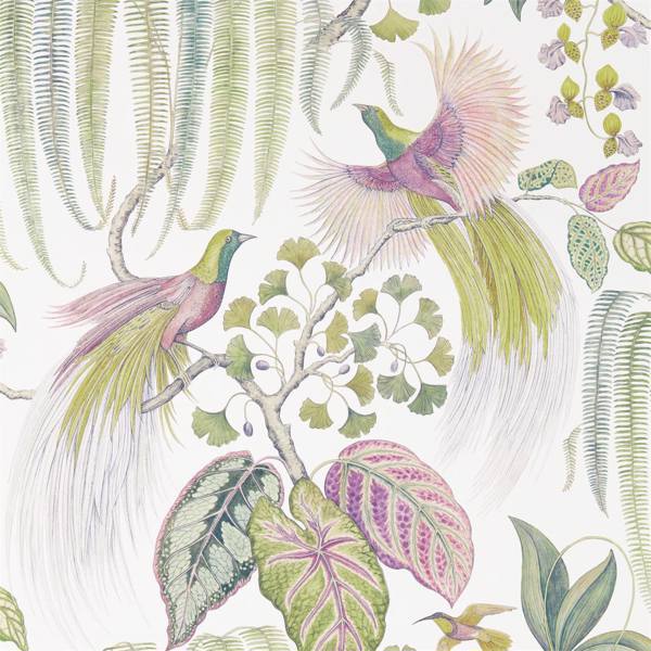 Bird Of Paradise Wallpaper| Sanderson Group
