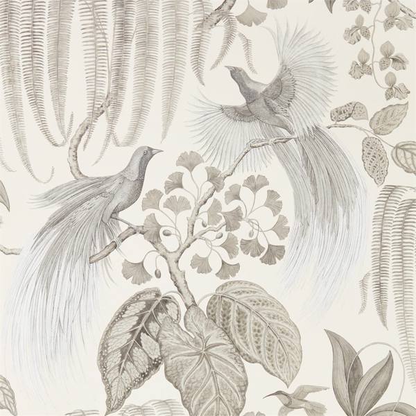 Bird Of Paradise Wallpaper| Sanderson Group