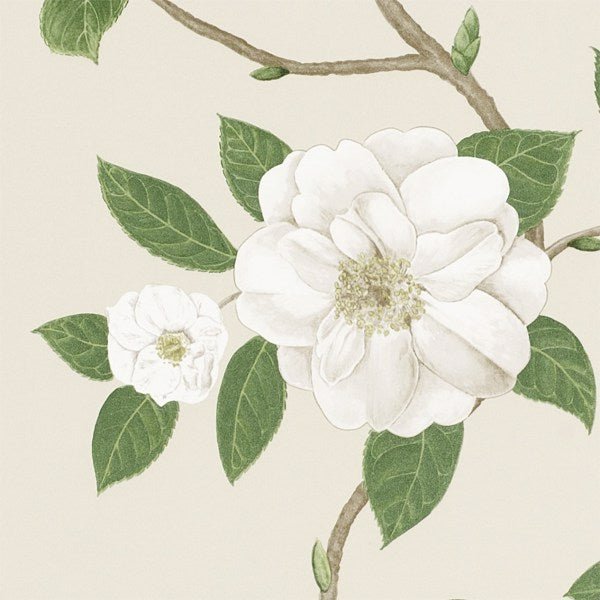 Christabel Wallpaper| Sanderson Group