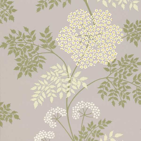 Cowparsley Wallpaper| Sanderson Group