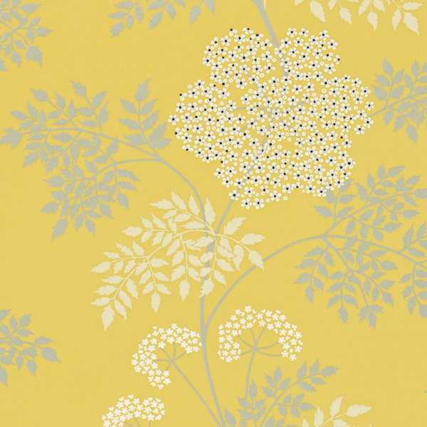 Cowparsley Wallpaper| Sanderson Group