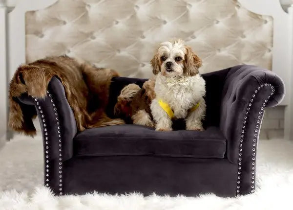 Dachshund Pet Bed Pet Furniture| TOV