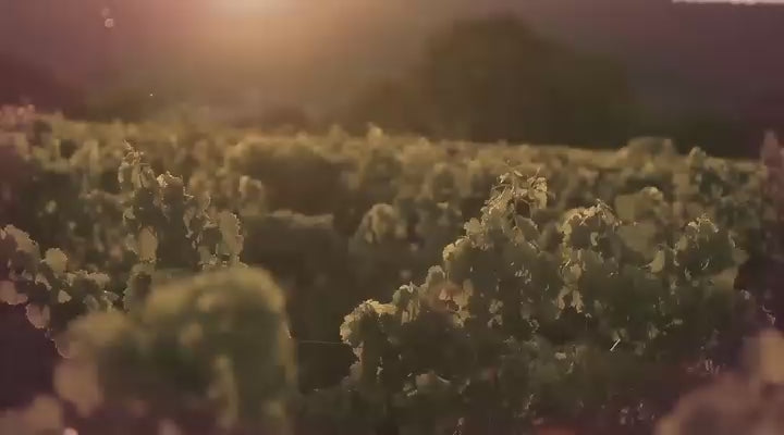 KLìNTO 1817 Diffuser 500ml