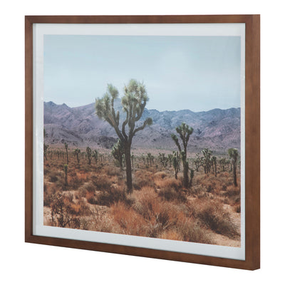 Desert Land Framed Print