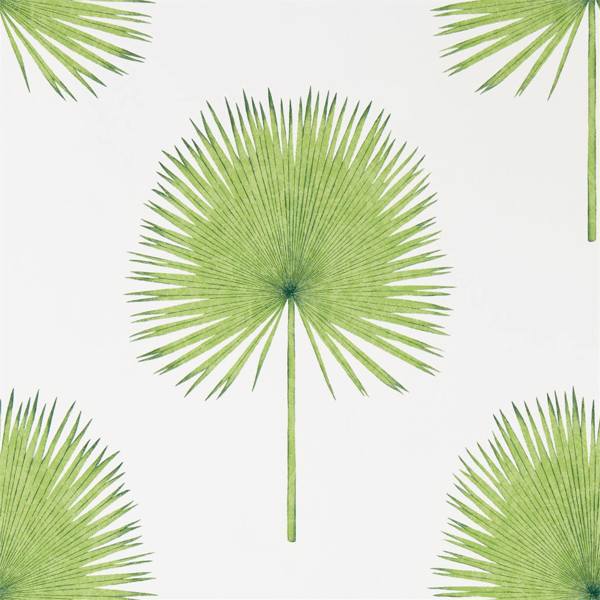 Fan Palm Wallpaper| Sanderson Group