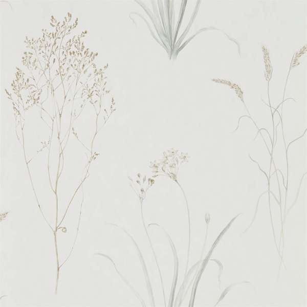 Farne Grasses Wallpaper| Sanderson Group