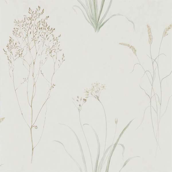 Farne Grasses Wallpaper| Sanderson Group