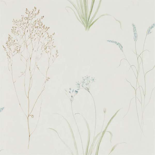 Farne Grasses Wallpaper| Sanderson Group