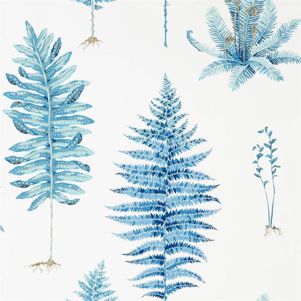 Fernery Wallpaper| Sanderson Group