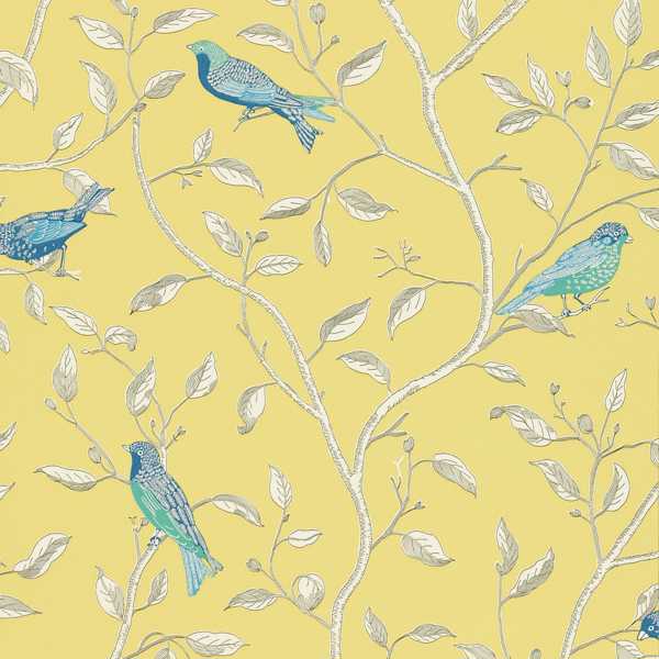 Finches Wallpaper| Sanderson Group