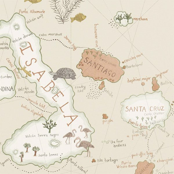 Galapagos Wallpaper| Sanderson Group