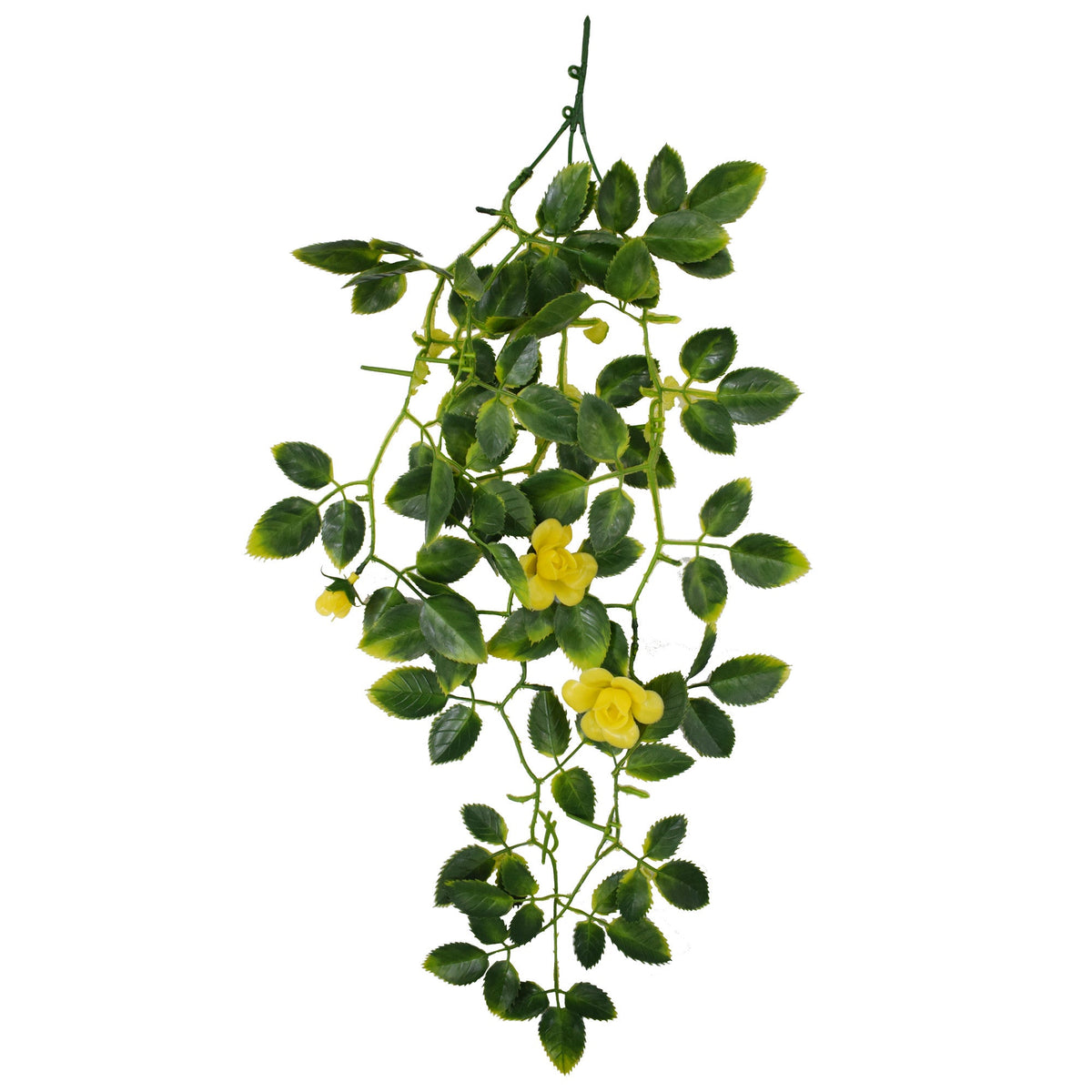 Hanging Rose Leaf with Yellow Flowers Plants| Roots Furniture