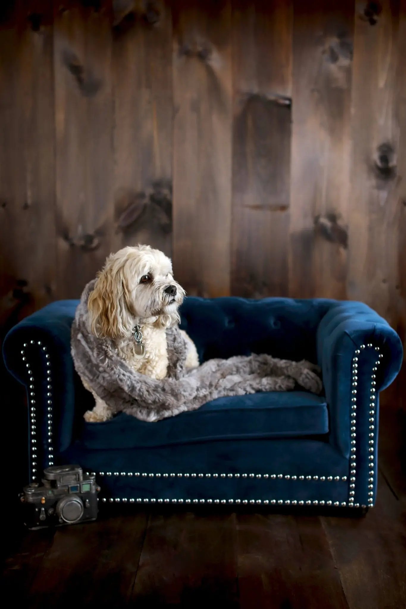 Husky Navy Pet Bed Pet Furniture| TOV