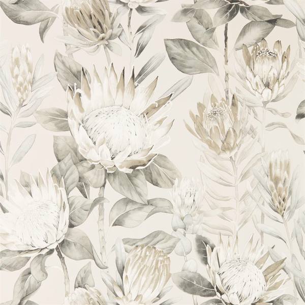 King Protea Wallpaper| Roots Furniture