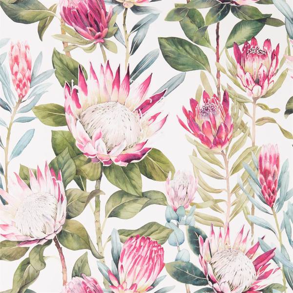 King Protea Wallpaper| Sanderson Group