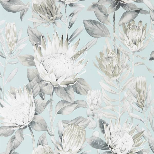 King Protea Wallpaper| Sanderson Group