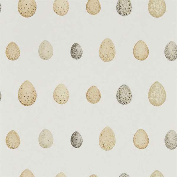 Nest Egg Wallpaper| Sanderson Group