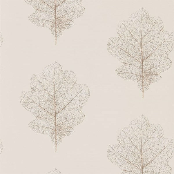 Oak Filigree Wallpaper| Sanderson Group