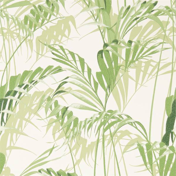 Palm House Wallpaper| Sanderson Group