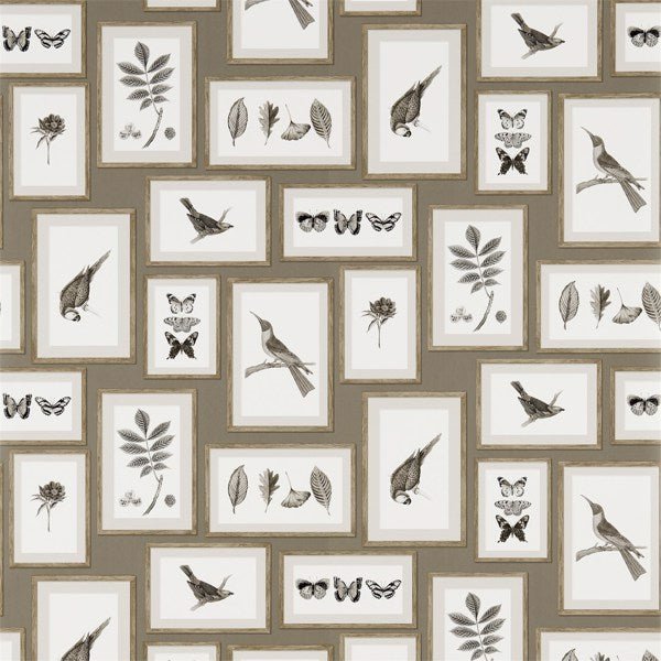 Picture Gallery Wallpaper| Sanderson Group