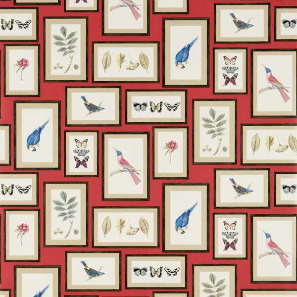 Picture Gallery Wallpaper| Sanderson Group
