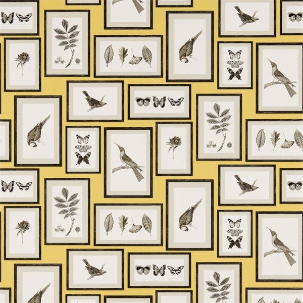Picture Gallery Wallpaper| Sanderson Group