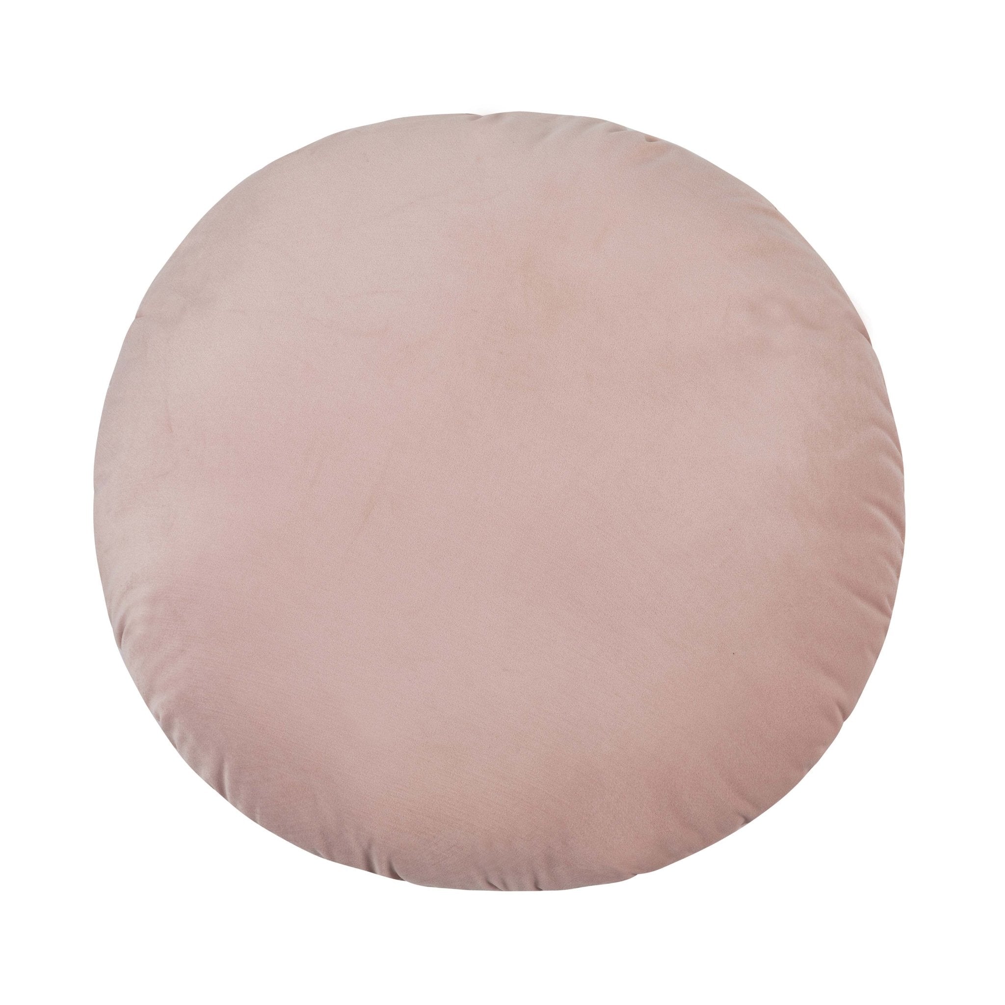 Potter 20" Blush Velvet Pillow Pillows| TOV