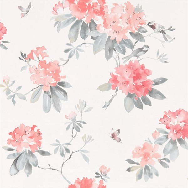 Rhodera Wallpaper| Sanderson Group