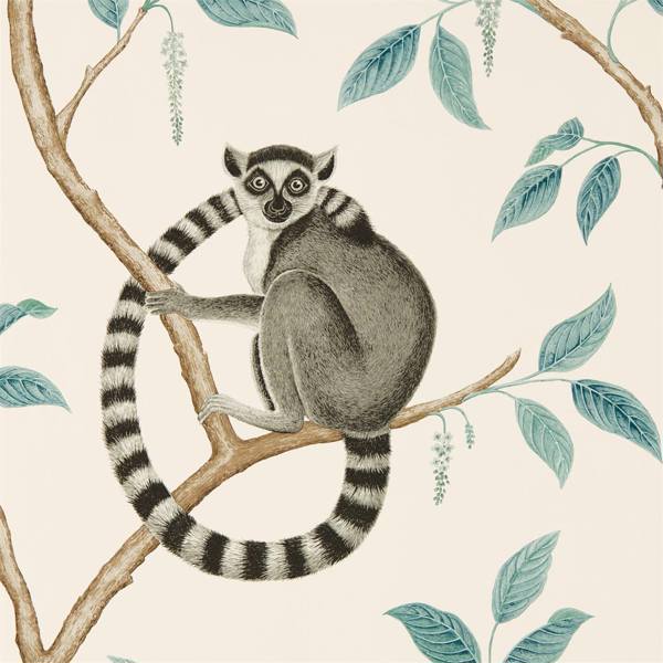 Ringtailed Lemur Wallpaper| Sanderson Group