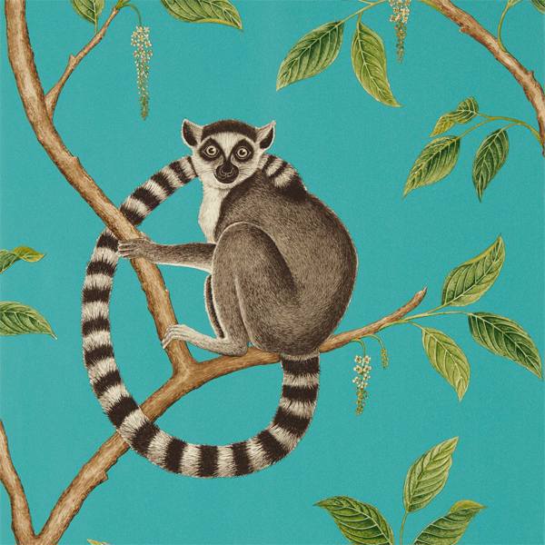 Ringtailed Lemur Wallpaper| Sanderson Group