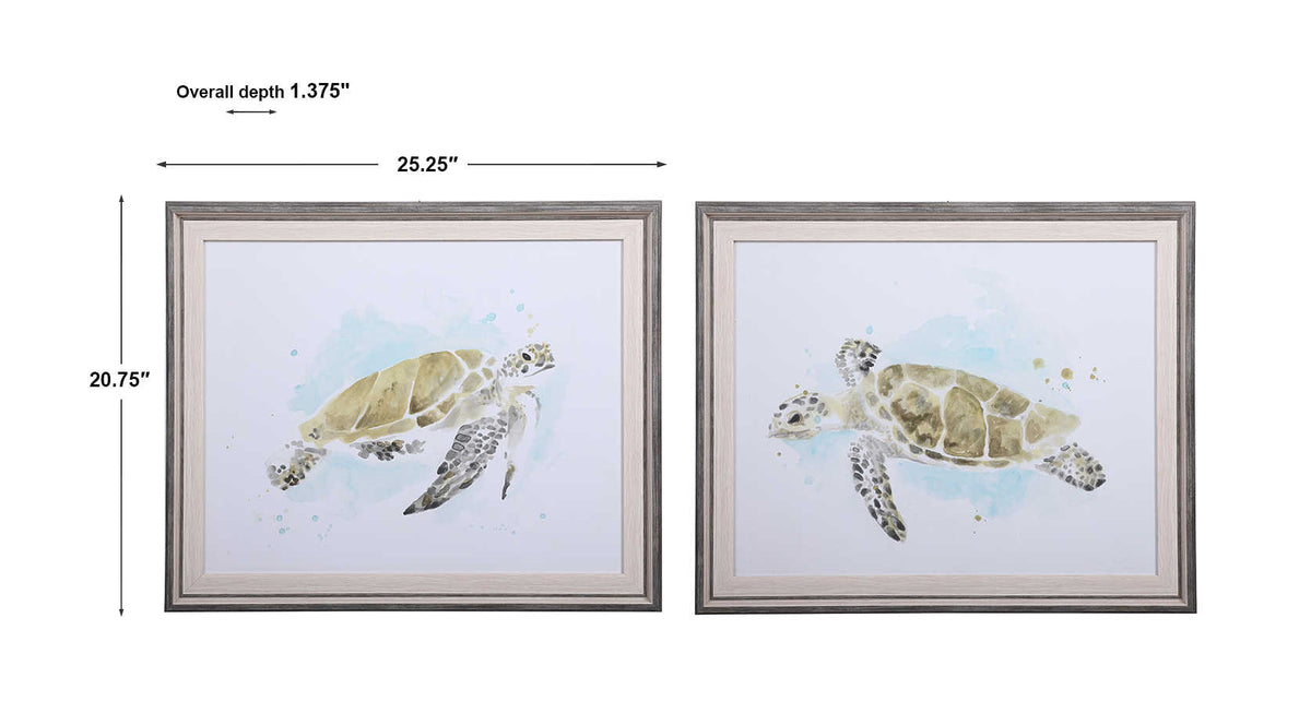 Sea Turtle Study Framed Prints, S/2 Wall Art| Uttermost