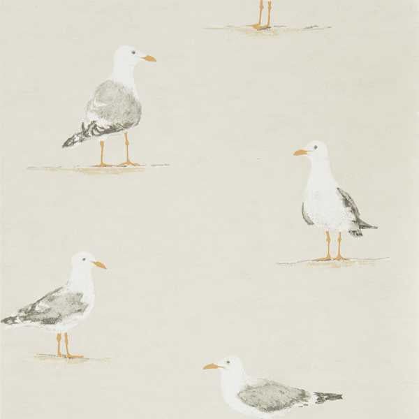 Shore Birds Wallpaper| Sanderson Group