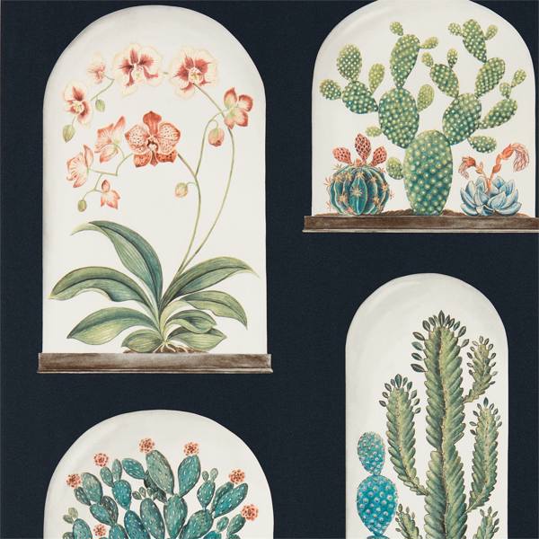 Terrariums Wallpaper| Sanderson Group