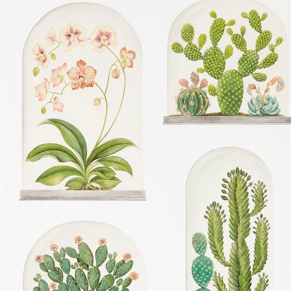 Terrariums Wallpaper| Sanderson Group
