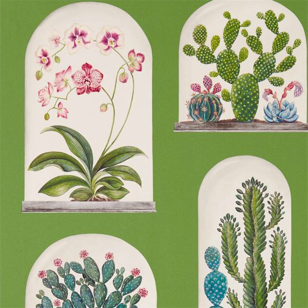 Terrariums Wallpaper| Sanderson Group