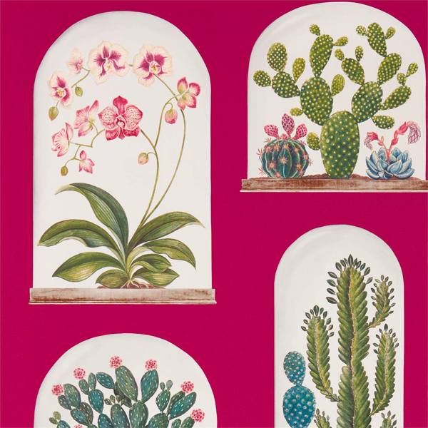 Terrariums Wallpaper| Sanderson Group