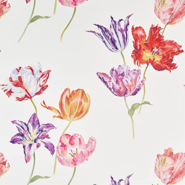 Tulipomania Wallpaper| Sanderson Group