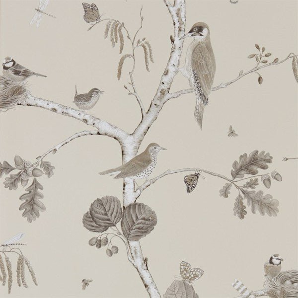 Woodland Chorus Wallpaper| Sanderson Group