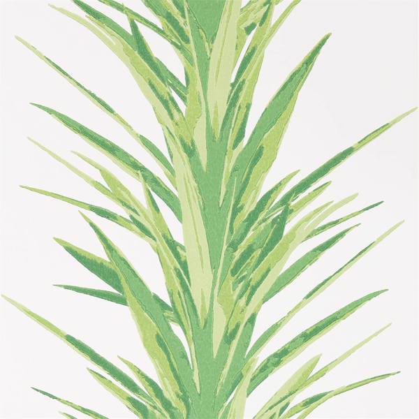 Yucca Wallpaper| Sanderson Group